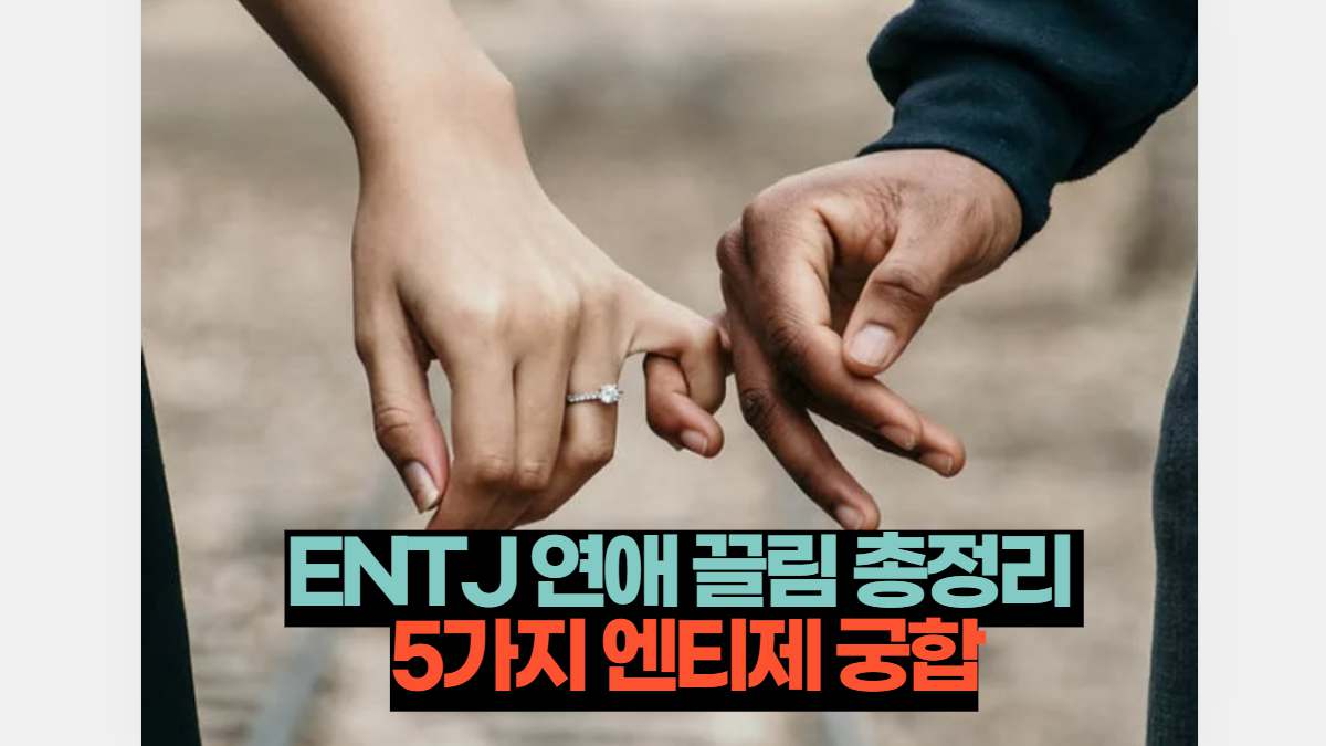 Entj 연애 끌림 총정리 5가지 엔티제 궁합 | 궁금한 심리 Mbti 연애 이별 사랑 애니어그램 2023