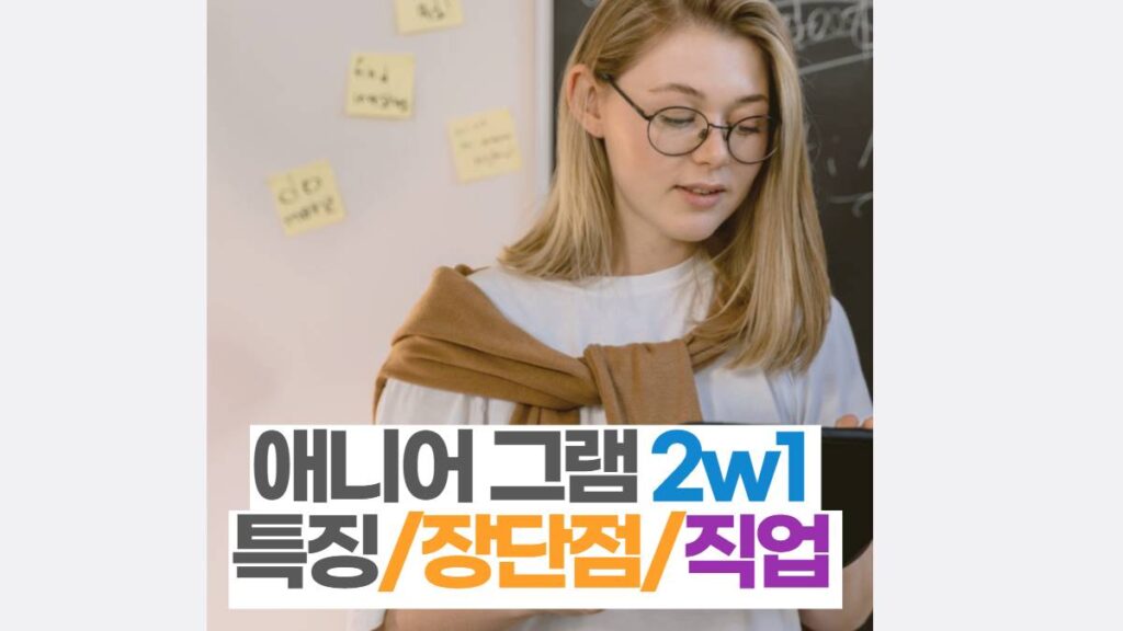 애니어그램 2w1 특징/장단점/직업 