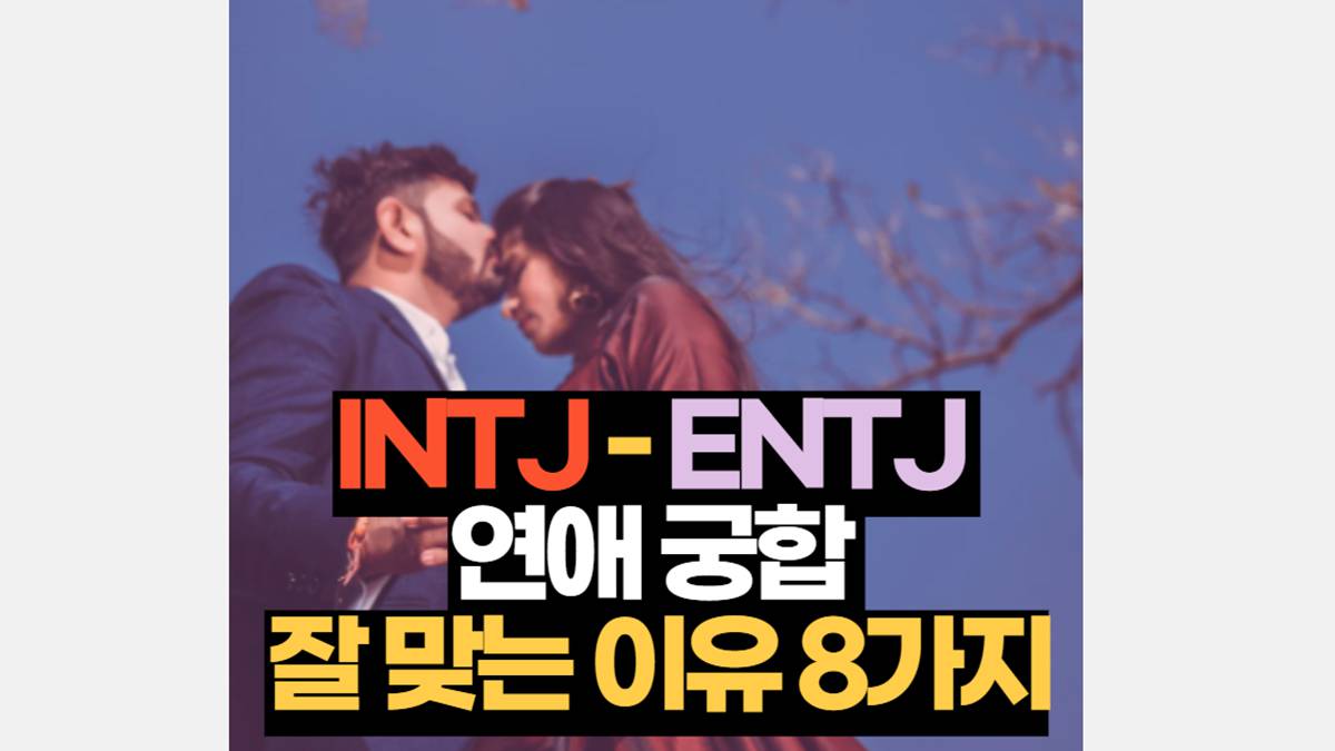 INTJ-ENTJ 연애 궁합 잘 맞는 이유 8가지