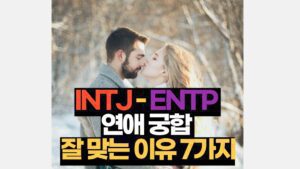 INTJ-ENTP 연애 궁합 잘 맞는 이유 7가지