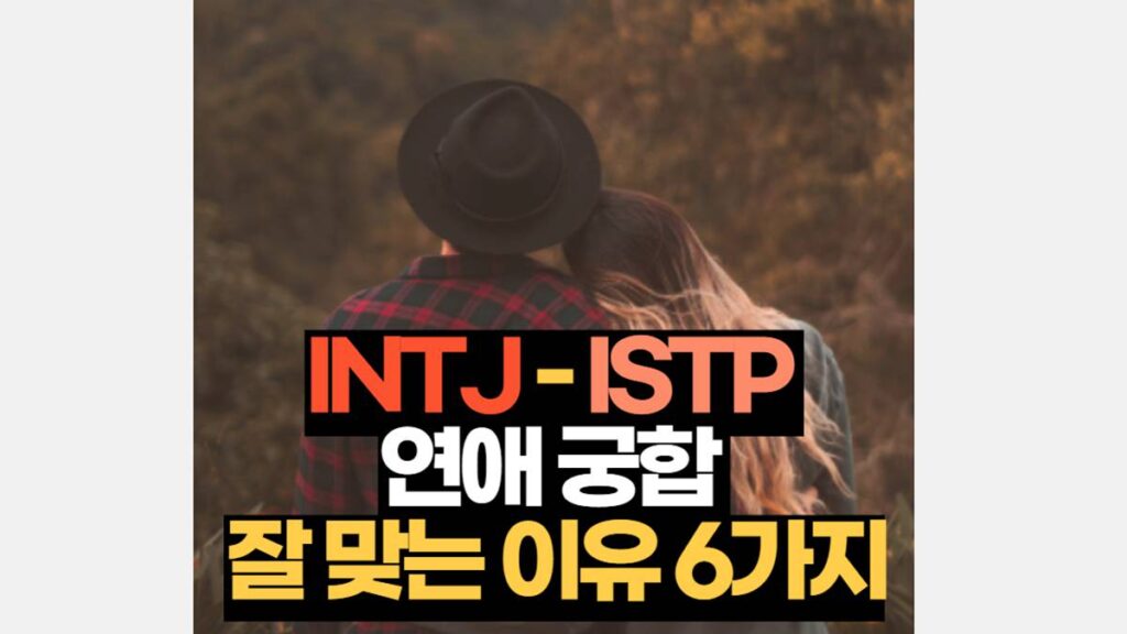 INTJ-ISTP 연애 궁합 잘 맞는 이유 6가지