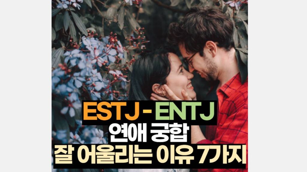 ESTJ ENTJ 궁합 연애 잘 맞는 이유 7가지