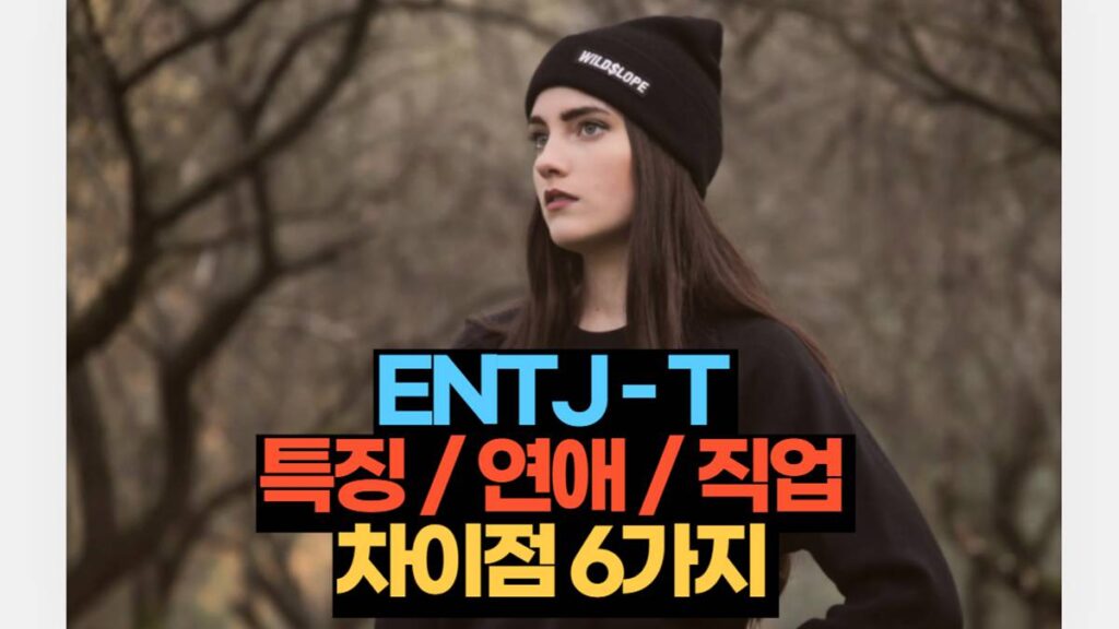 ENTJ-T 특징 / 연애 / 직업 차이점 6가지