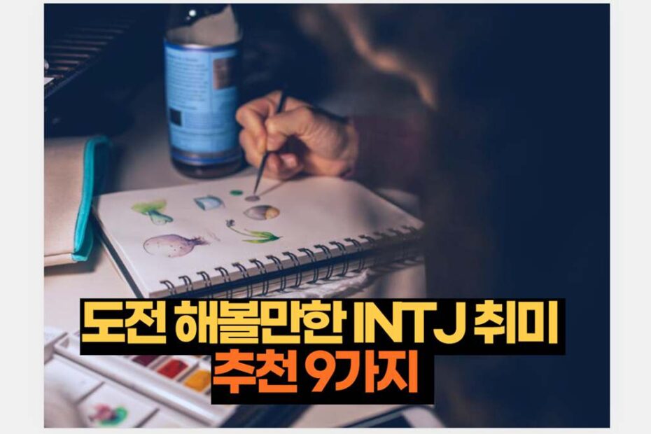 도전 해볼만한 INTJ 취미  추천 9가지  