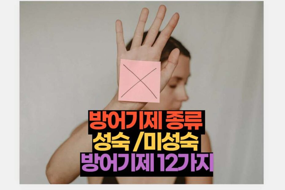 방어기제 종류  성숙 /미성숙  방어기제 12가지