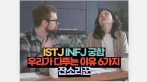 ISTJ INFJ 궁합  우리가 다투는 이유 6가지  잔소리꾼