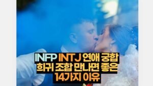 INFP INTJ 연애 궁합  희귀 조합 만나면 좋은  14가지 이유 