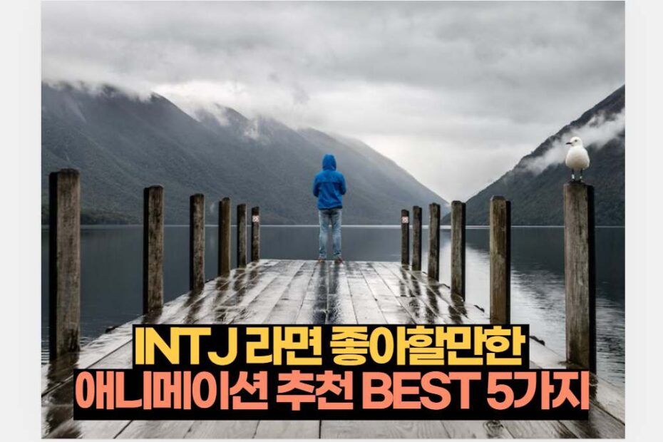 INTJ 라면 좋아할만한  애니메이션 추천 BEST 5가지