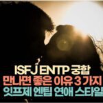 ISFJ ENTP 궁합  만나면 좋은 이유 3 가지  잇프제 엔팁 연애 스타일
