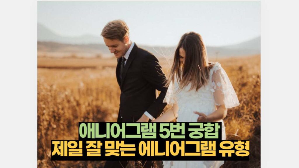 애니어그램 5번 궁합  제일 잘 맞는 에니어그램 유형