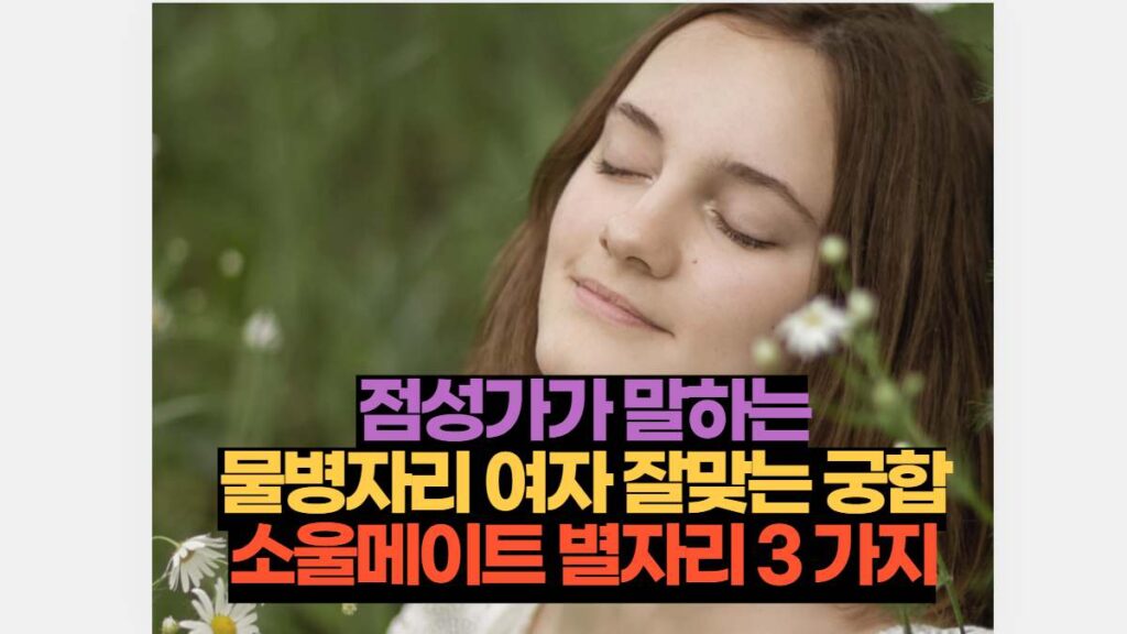 점성가가 말하는 물병자리 여자 잘맞는 궁합 소울메이트 별자리 3 가지