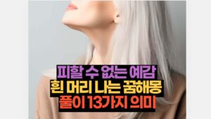 피할 수 없는 예감 흰 머리 나는 꿈해몽 풀이 13가지 의미