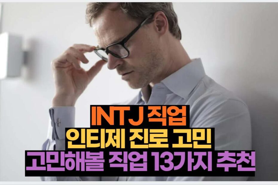 INTJ 직업  인티제 진로 고민  고민해볼 직업 13가지 추천