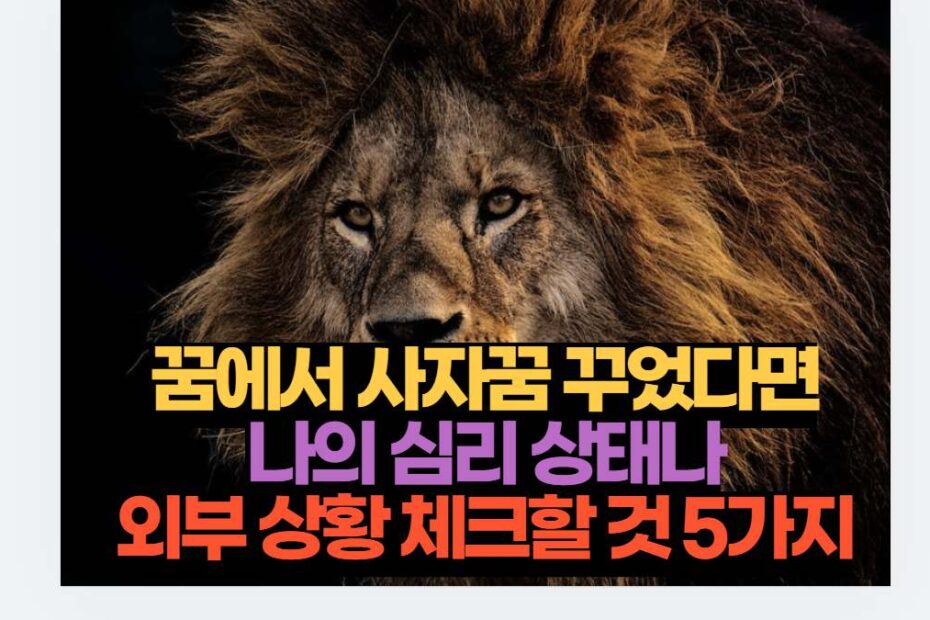 꿈에서 사자꿈 꾸었다면 나의 심리 상태나 외부 상황 체크할 것 5가지